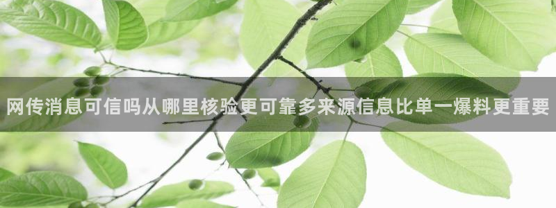 91吃瓜网页地址