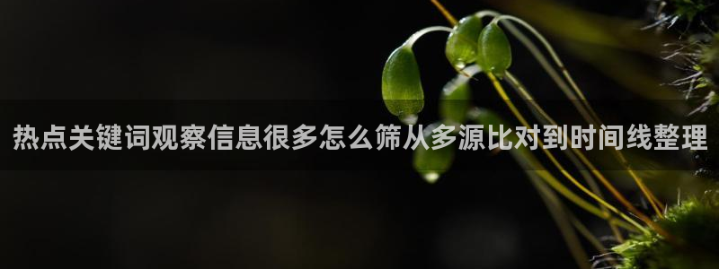91吃瓜资讯网站