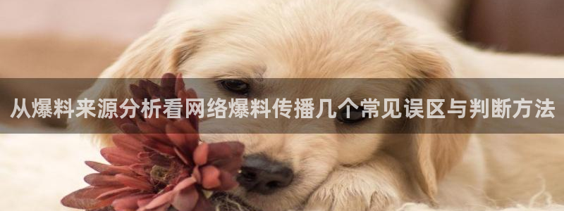 91吃瓜每日热门