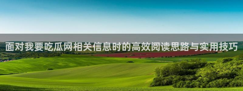 91吃瓜在线观看网站入口