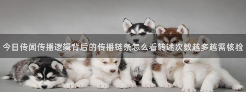 91吃瓜爆料入口