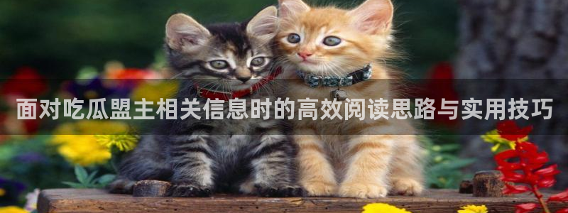 91吃瓜网络资讯